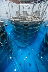 Daya Bay Muon Rejection System