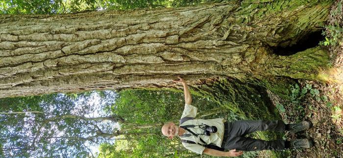 Jens-Christian Svenning next to the tree Aspidosperma polyneuron