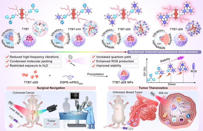 Triple-action deuterium engineering boosts NIR-II cancer imaging, therapy, and surgical navigation