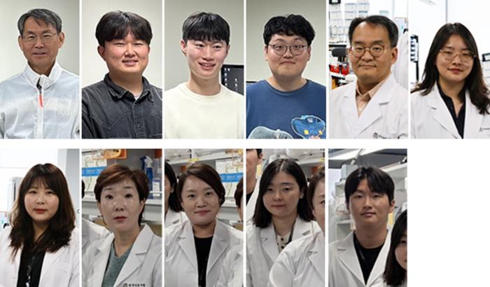KAIST Confirms Reduction of Amyloid-β Using Red OLED-Restores Memory in Alzheimer’s Model​