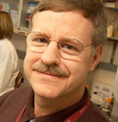Terry F. McElwain, Washington State University