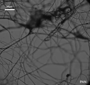 Polyacrylonitrile (PAN) nanofiber mesh capturing water aerosols
