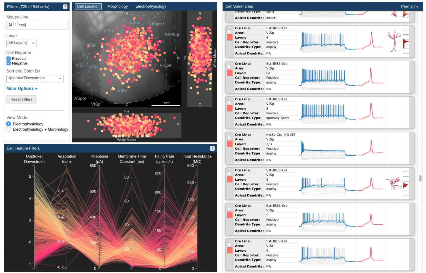 Allen Cell Types Database