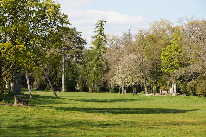 Fasanengarten park in Karlsruhe, a place with intact flora and fauna and a wide variety of tree species where people enjoy spending time