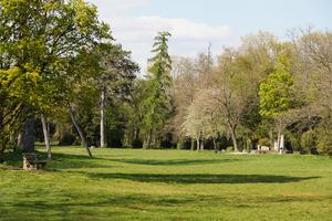Fasanengarten park in Karlsruhe, a place with intact flora and fauna and a wide variety of tree species where people enjoy spending time