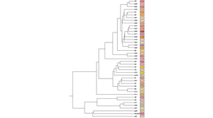 Fig. 2 Colors of E. coli expressing various rhodopsins.