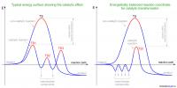 Reaction Paths