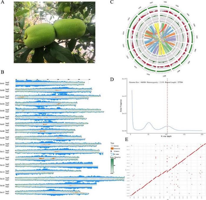 Fig.1