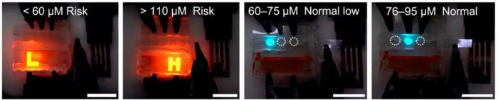 The ultimate glow up: NUS CDE researchers push flexible display brightness to new records