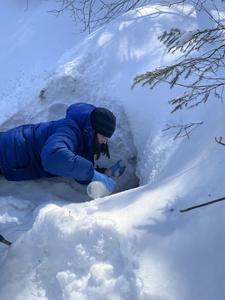 Cary Institute researcher Tammy Wooster sampling a study stream in the winter.