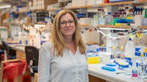Heather Gray-Edwards, DVM, PhD