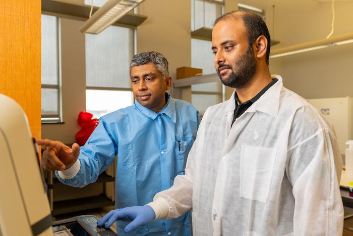 How cells manage copper could guide treatments