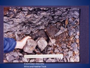 Initial discovery Nov.12 1988