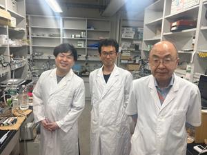 Authors of the study