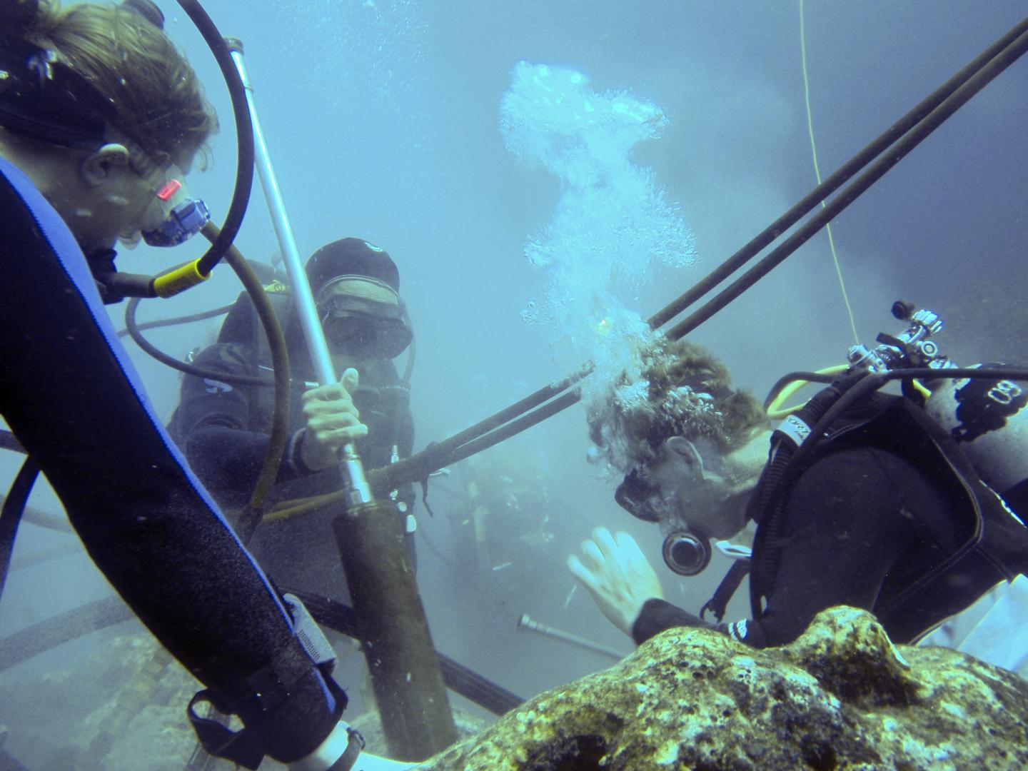 Taking a Core from a Coral