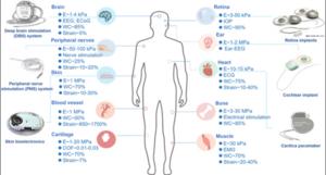 Typical applications of implantable bioelectronics for healthcare toward organs/tissues with different biomechanical feature.