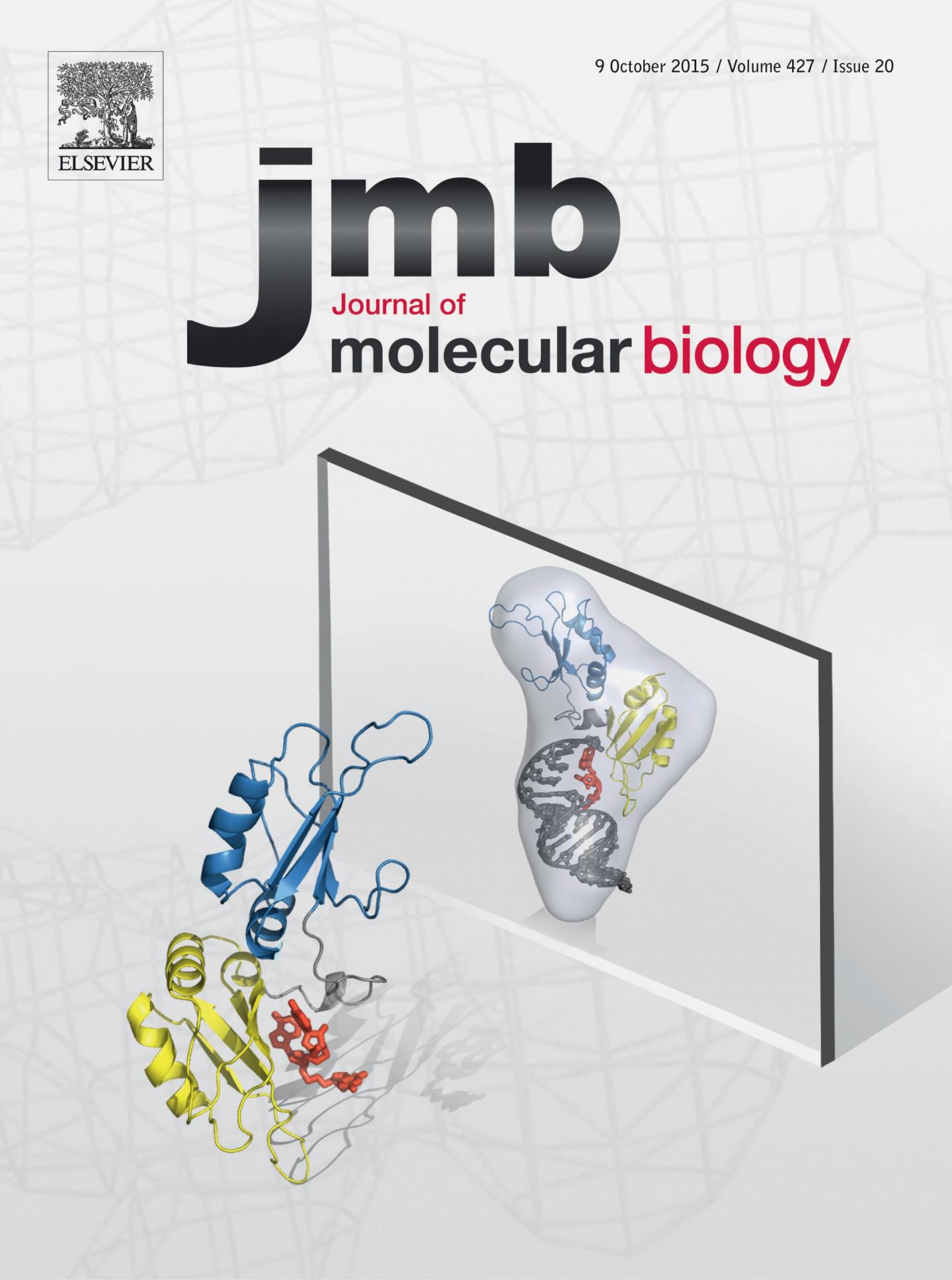 Researchers Produce First Image Of HnRNP A1 Binding To RNA