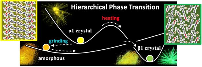 Hidden Hierarchical Pathways Enable Controllable Phase Transitions in Organic Molecular Crystals