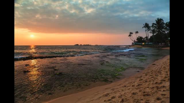 Exploring the Ocean for Alternatives to Opioids
