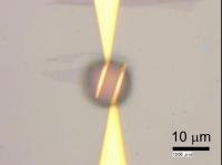 Lab-On-A-Graphene-FET Device