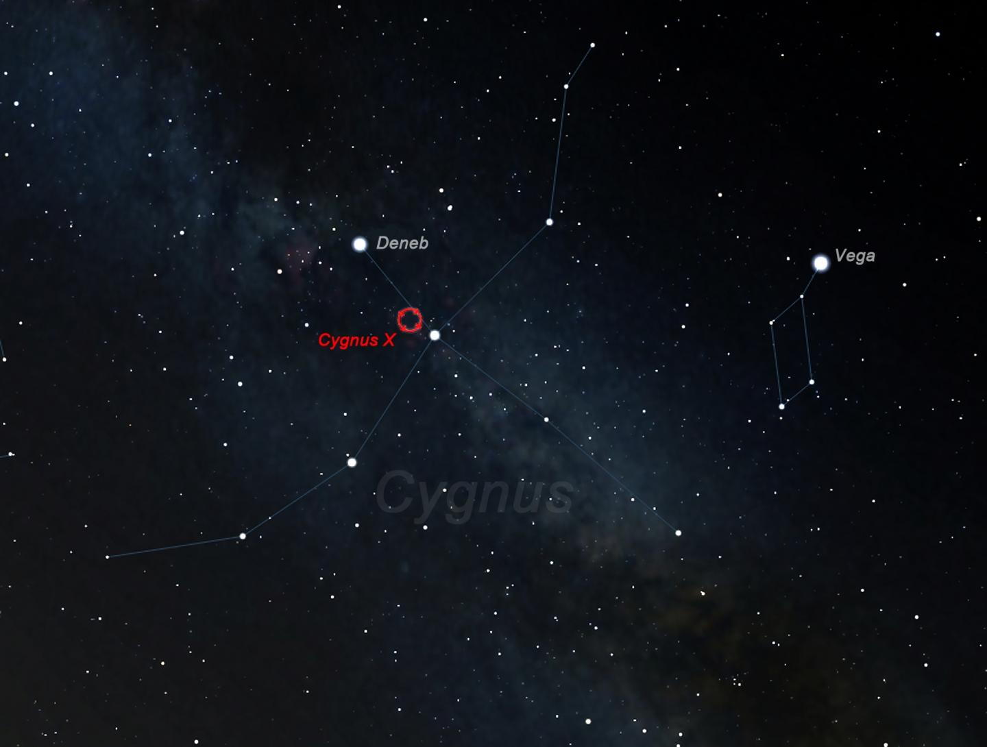The Cygnus Cocoon in the Cygnus constellation
