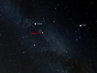 The Cygnus Cocoon in the Cygnus constellation