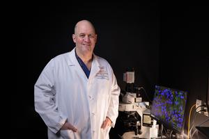 Holger Eltzschig, MD, PhD, senior author, and chair and professor of the Department of Anesthesiology, Critical Care and Pain Medicine at McGovern Medical School at UTHealth Houston.