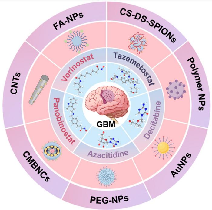 GBM combination therapy using nanocarriers from different sources loaded with epigenetic drugs.