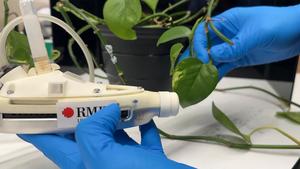 RMIT sound-wave nebuliser applies a fine mist coating of 'plant sunscreen' to a plant leaf
