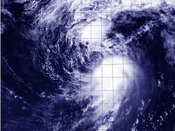 VIIRS Image of Molave
