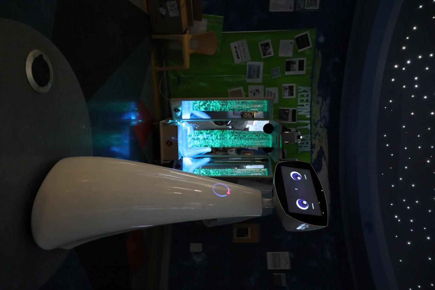 Full picture of Robin the robot