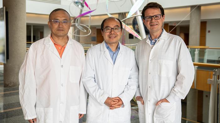 Influenza researchers at Mizzou
