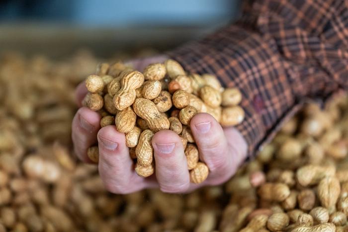 Peanuts