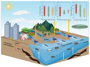 Response of greenhouse gas emissions to synergistic effects of terrigenous organic matter input and salinity dynamics in estuary