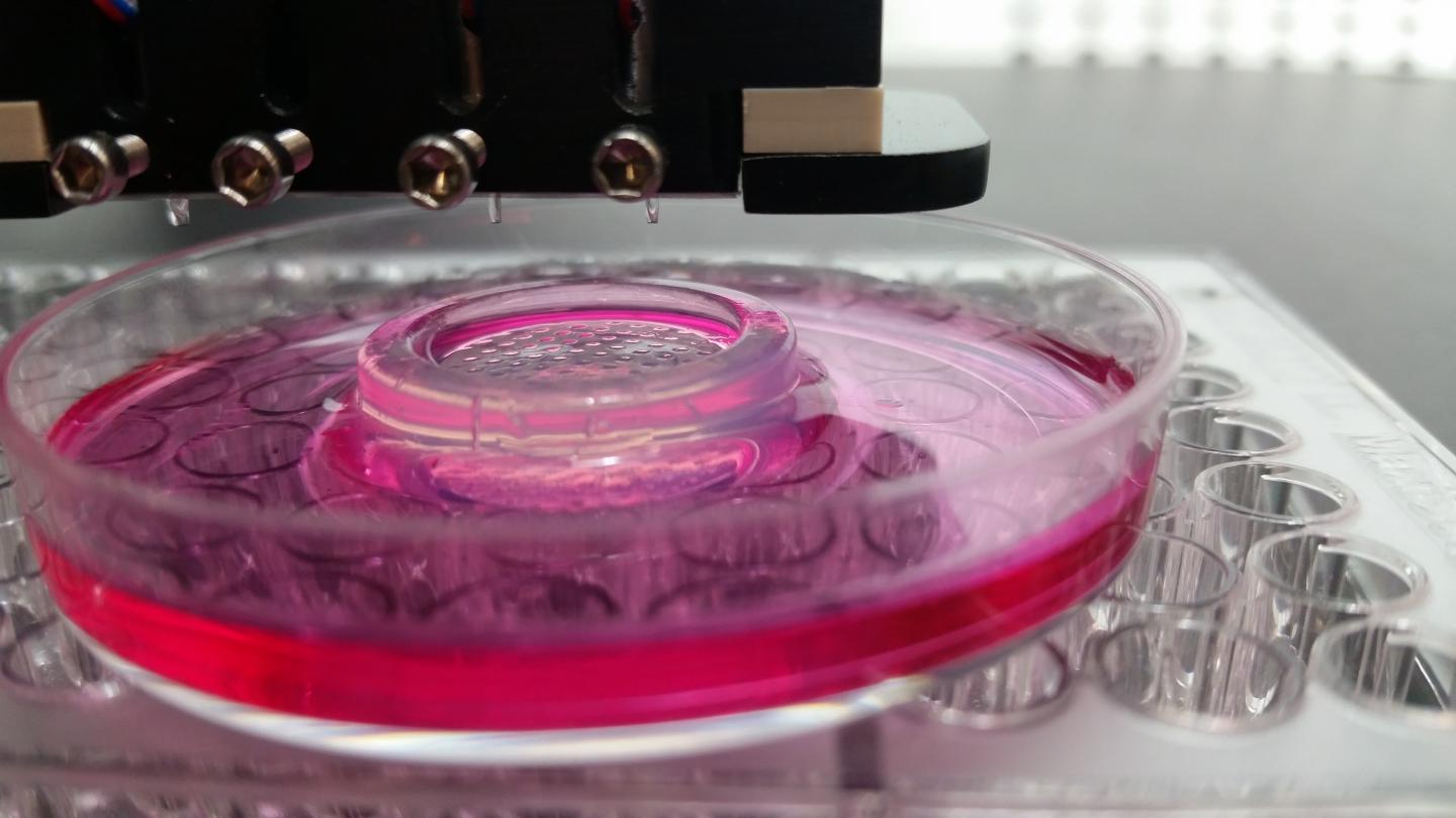 Tissue Printing