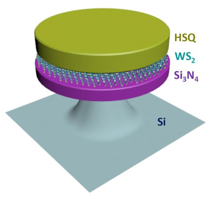 2-D Excitonic Laser