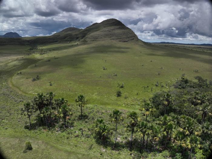 Campos úmidos and veredas are among Brazil's most carbon-dense ecosystems, yet they are also very  vulnerable.