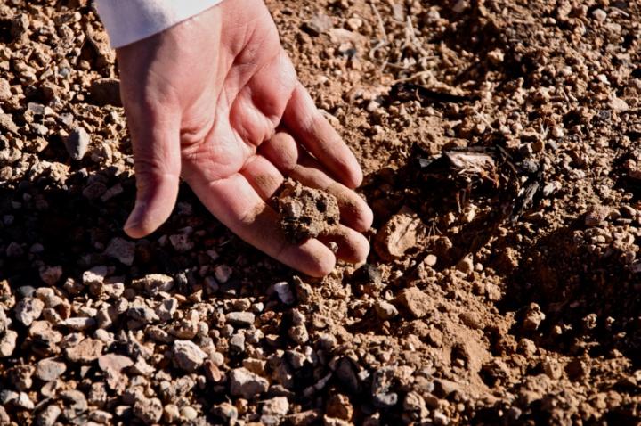 Soil Sample