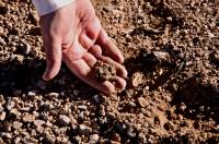 Soil Sample