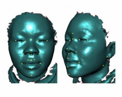 3-D Face