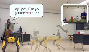 Fetch, Robot