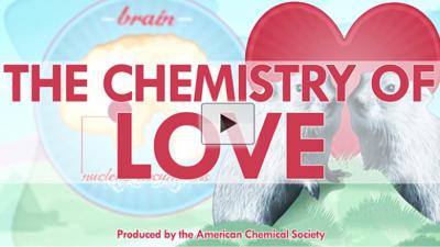 The Chemistry of Love