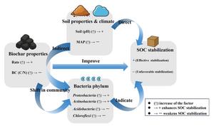 Microbial regulation mechanisms of soil organic carbon sequestration by biochar application