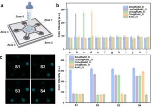 KAIST Enables On-Site Disease Diagnosis in Just 3 Minutes... Nanozyme Reaction Selectivity Improved 38-Fold​