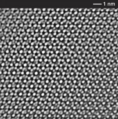 A Diamond in the Ruff (4 of 4) [IMAGE] | EurekAlert! Science News Releases