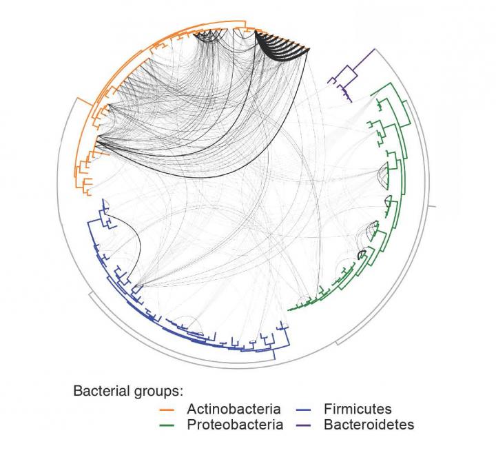 Horizontal Gene Transfer Graphic