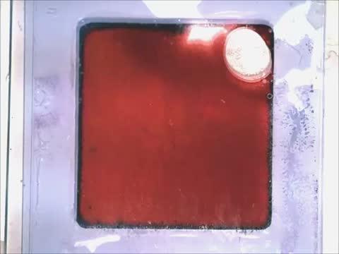 Artificial Chromatophores