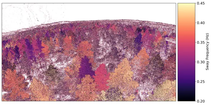 Image3