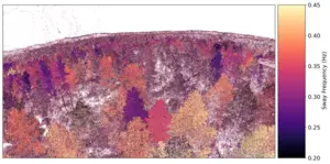 Image3