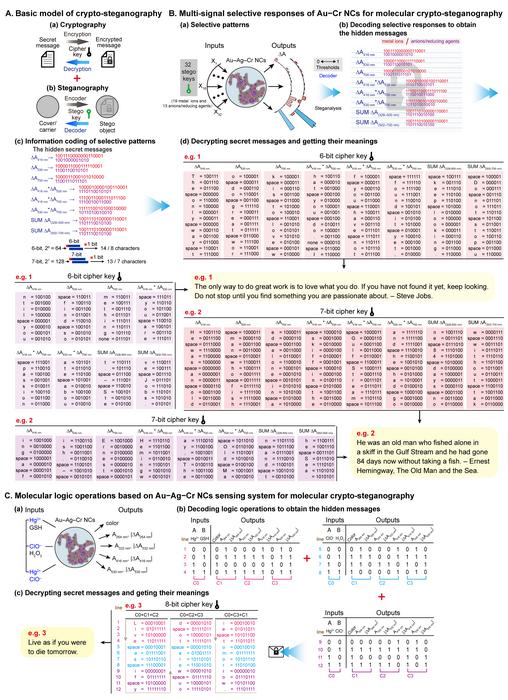 图5. 基于Au−Ag−Cr NCs逻辑关系和选择性响应的分子信息编码、密码学和隐写术。